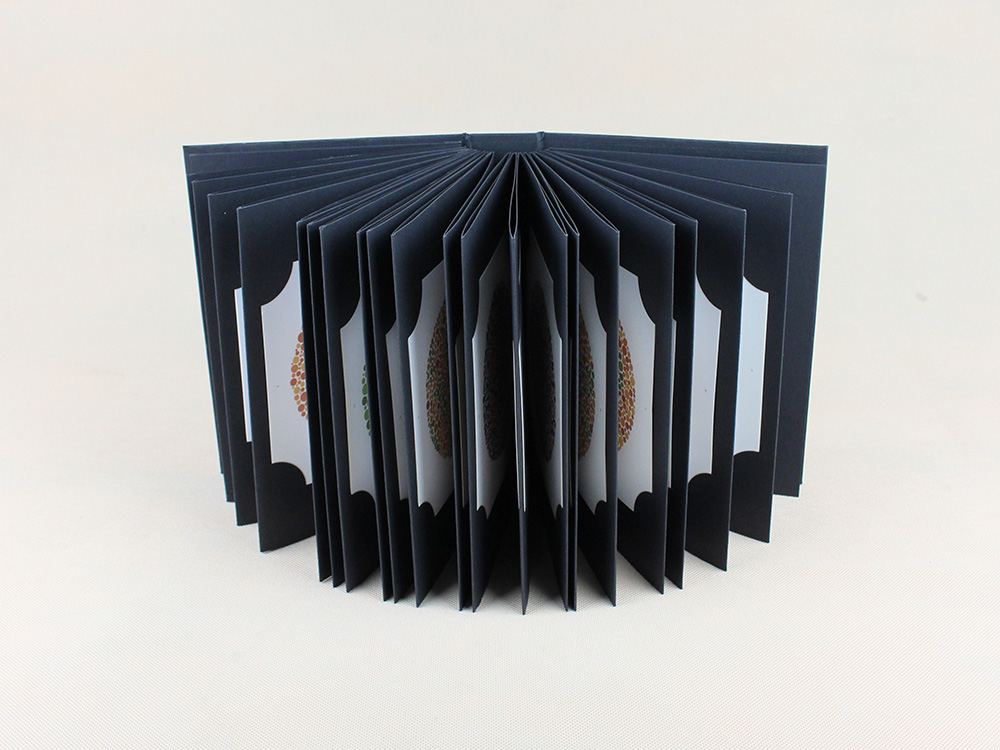 Ishihara Boek 38 Platen Optome - Color Checker Card recensie en prijs